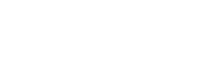 INSULMAX WELLINGTON